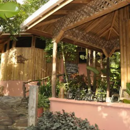 Finca Luna Nueva Lodge-2